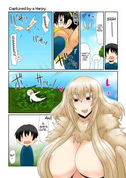 Page 1 of Harpy-san ni Tsukamatte. | Captured By A Harpy.