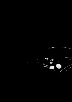 Page 21 of Jeanne Alter