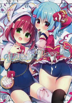 Download White to Navy 03