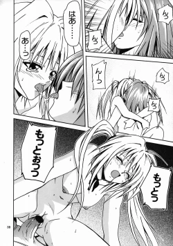 Page 37 of Hime no Kyuujitsu