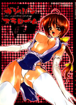 Download The Gasoline Slalom