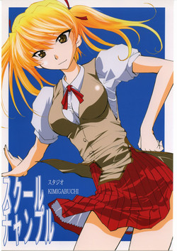 Download School Champlu