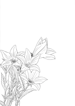 Page 20 of Hikari no Kimi no Saganaki Keikaku