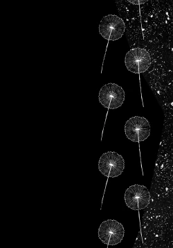 Page 2 of Himitsu no Ticket | 秘密的免費券