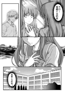 Page 14 of Shiori DaiShou Futarime no JushinShinsouban