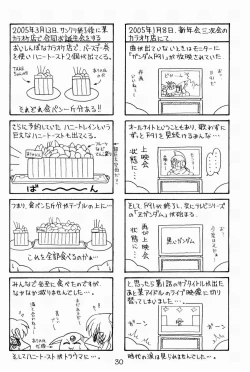 Page 29 of RURIMIX SP3