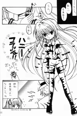 Page 11 of Rurimix SP5