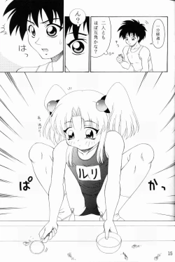 Page 14 of Rurimix SP5