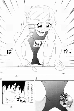 Page 15 of Rurimix SP5