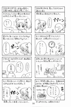 Page 29 of Rurimix SP5