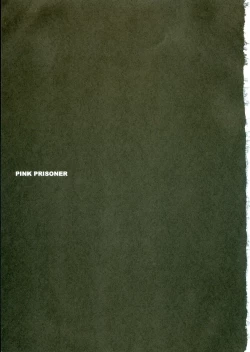 Page 2 of PINK PRISONER