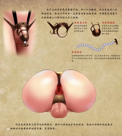 Page 13 of D vs N Ch. 2