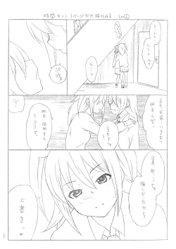 Page 4 of NINPHO MATE