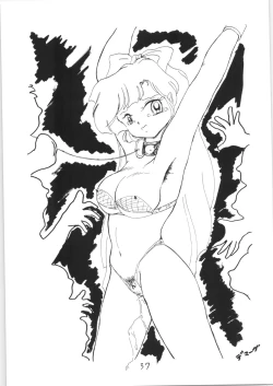 Page 36 of Ranma no Manma Bangai-hen V2