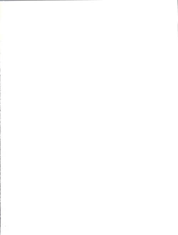 Page 2 of SeFri sae Ireba Ii.