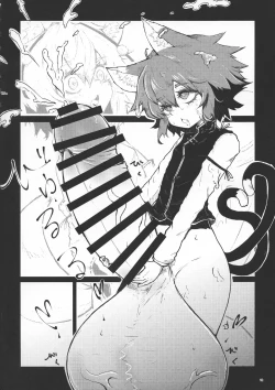 Page 13 of Touhou Futanari Bougyoku Goudou-shi