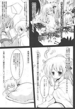 Page 11 of Gaichuu Higai Houkokusho File 3
