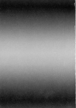 Page 2 of Chika-chan ni mo Naisho no Himitsu 3