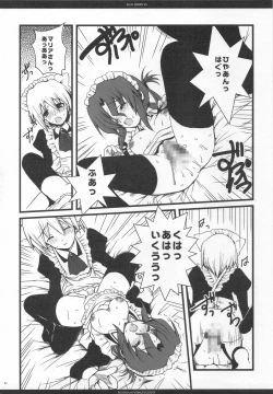 Page 21 of SLOE BERRY EX