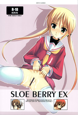 Download SLOE BERRY EX