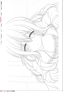 Page 20 of IxSHE Tell illustration art book