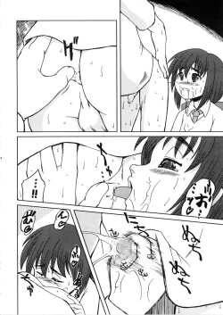 Page 13 of RADIANT SILVIASAN