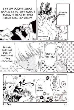 Page 12 of Yasashii Hito no Soba ga Suki Bannou Bunga Neko Musume