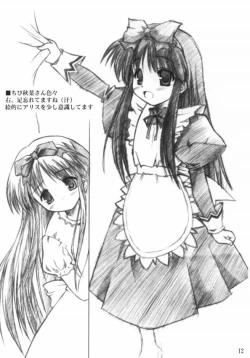 Page 11 of Akiha Samadhi