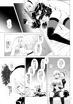 Page 20 of Sei no honnou