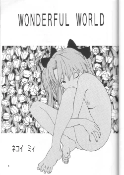 Page 2 of Wonderful World