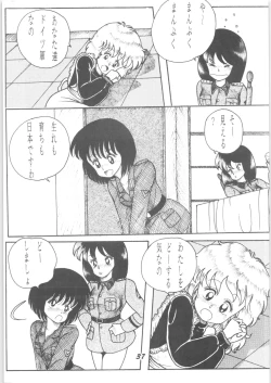 Page 36 of Sieg Heil