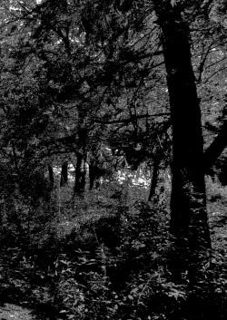 Page 3 of GARIGARI 98