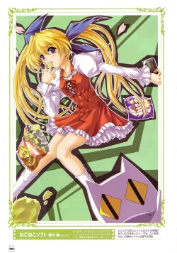 Page 107 of D.C.Official Visual Fanbook