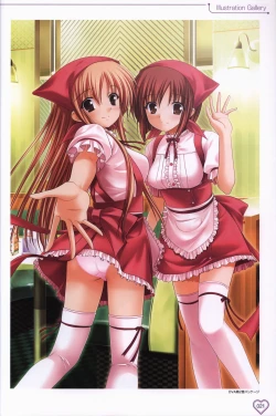 Page 22 of Shakkin Shimai＆Shakkin Shimai2 visual fanbook