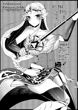 Page 4 of Futanari Zelda Soushuuhen