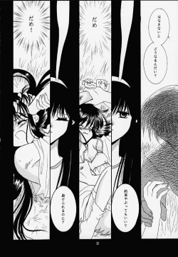 Page 29 of Kanonizumu MAX