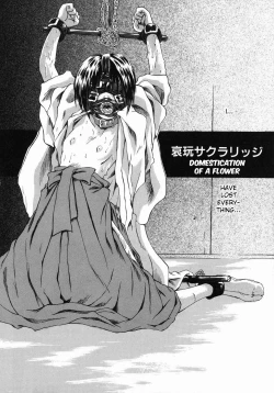 Page 2 of Aigan Sakurige | Domestication of a Flower