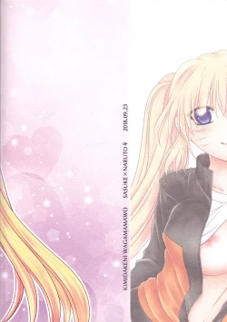 Page 26 of Kimi dake ni Wagamama o