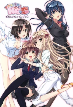 Page 4 of Sekai de Ichiban Dame na Koi Visual Fanbook