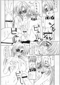 Page 19 of A Zoku Kakumei Sengen