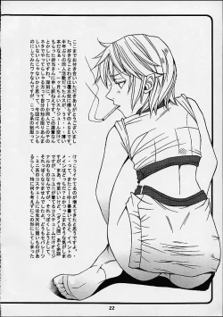 Page 22 of EVECOM CAPCOM