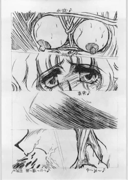 Page 4 of Haibara Sake Shiboritate