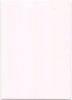 Page 3 of Yancha Musume no Shitsukekata