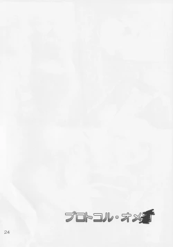 Page 23 of Protocol Omeko