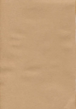 Page 2 of Tenimuhou Gaiden