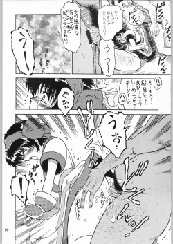 Page 16 of Shikiyoku Hokkedan 9