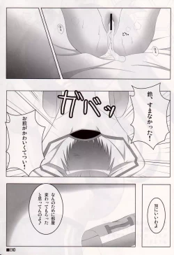 Page 14 of IS<Ichika, Sekinin Torinasai!> SECOND