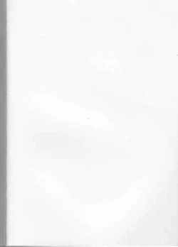 Page 2 of SAKURA USAUSA TAIKAI