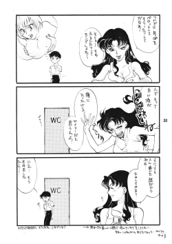 Page 29 of Seiteki Gengo Kajou Hannou Shoukougun