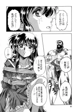 Page 40 of Henreikai Special Vol. 8